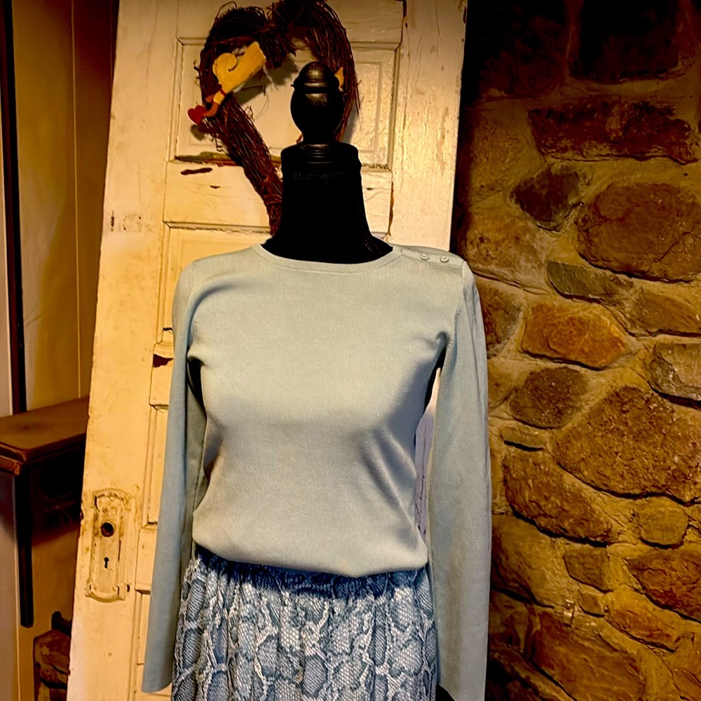Ann Taylor sweater and Acrobat palazzo pants
